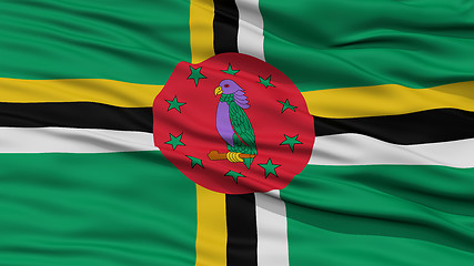 Image showing Closeup Dominica Flag