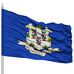 Image showing Isolated Connecticut Flag on Flagpole, USA state