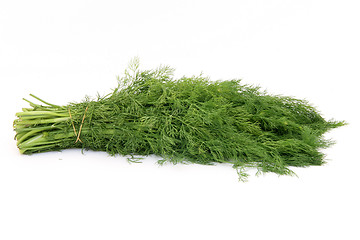 Image showing dill isolated