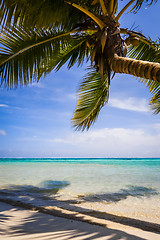 Image showing Paradise tropical beach and lagoon in Moorea Island