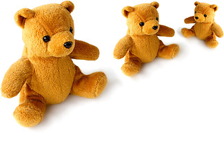 Image showing teddy family