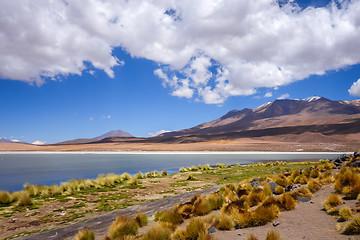 Image showing Altiplano laguna in sud Lipez reserva, Bolivia