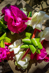 Image showing Polynesian flower necklace