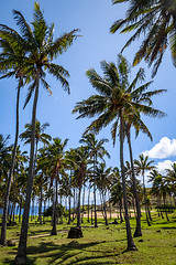 Image showing Anakena palm beach and Moais statues site ahu Nao Nao, easter is