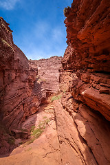 Image showing Garganta del diablo in Quebrada de las Conchas, Salta, Argentina