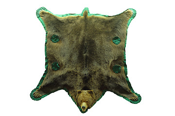 Image showing brown bear isolated hunting trophy