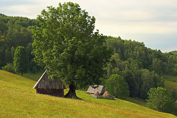 Image showing romanian mountain meadow