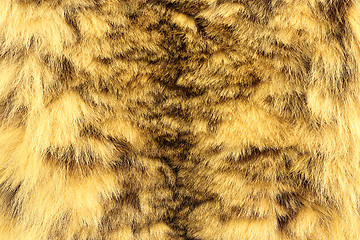 Image showing snow leopard textured pelt