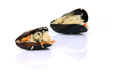 Image showing two mussels