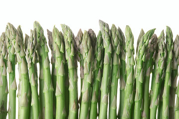 Image showing Asparagus isolated on white background