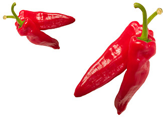 Image showing chilli peppers