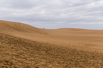 Image showing Tottori Dunes in Japan