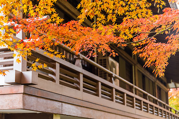 Image showing Wooden architecture with maple tree