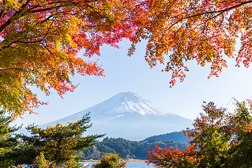 Image showing Mt.Fuji in autumn