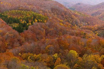 Image showing Beautiful landscape in autumn