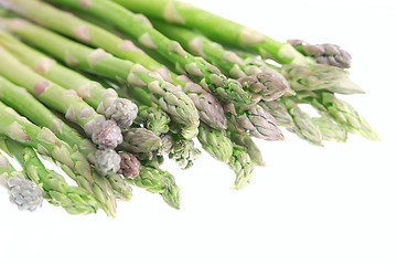 Image showing Bunch of asparagus isolated on white background