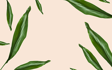 Image showing green leaves with blank space on beige background