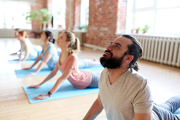 Image showing group of people doing yoga cobra pose at studio