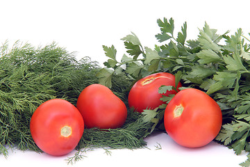 Image showing tomatos with herbs