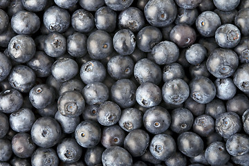 Image showing Background made of blueberries