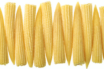 Image showing Baby corn in a row isolated on white background