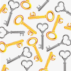 Image showing Golden and metallic key