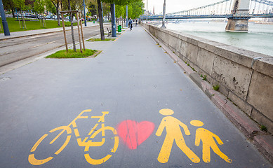 Image showing Bicycle signs painted on asphalt