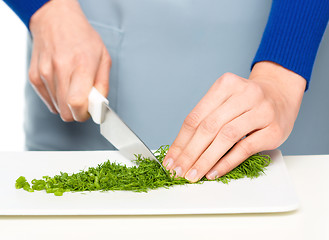 Image showing Cook is chopping green dill