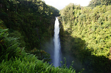 Image showing Hawaii, United States of America