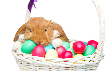 Image showing Beautiful domestic rabbit in basket with eggs