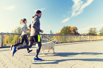 Image showing happy couple with dog running outdoors