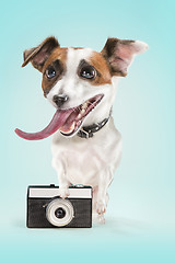 Image showing dog taking a photo with an old camera