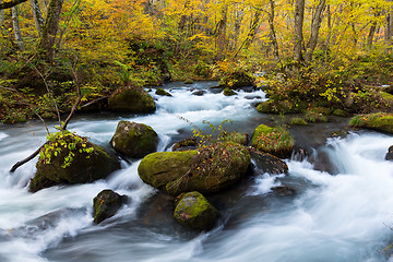 Image showing Waterfall in Oirase stream at Towada