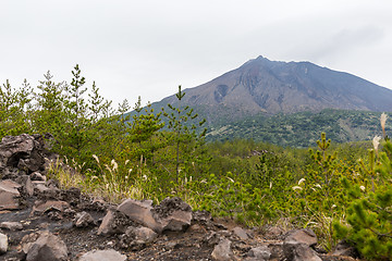 Image showing Mt. Sakurajima 