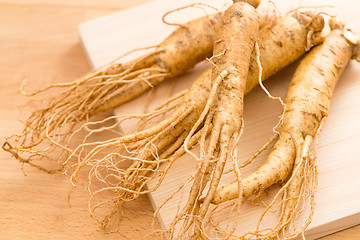 Image showing Fresh Korean Ginseng