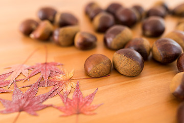 Image showing Chestnut and dried maple leaves