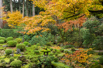 Image showing Japanese temple in autumn