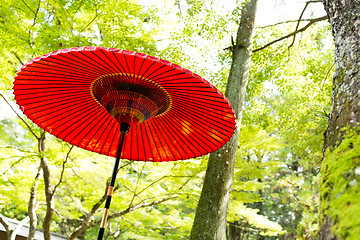 Image showing Red umbrella in the park