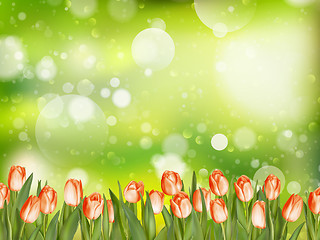 Image showing Beautiful tulips. EPS 10