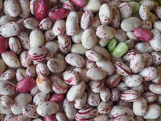 Image showing Crimson beans legumes vegetables