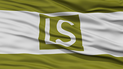 Image showing Closeup of Lees Summit City Flag