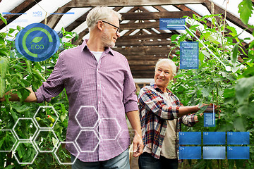 Image showing happy senior couple at farm greenhouse