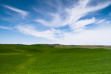 Image showing Green Agricultural Field Farm Blue Skies Country