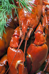 Image showing boiled crawfish