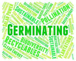 Image showing Germinating Word Represents Growth Grows And Sowing