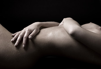 Image showing bodyscape