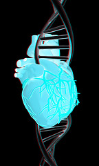 Image showing DNA and heart. 3d illustration. Anaglyph. View with red/cyan gla