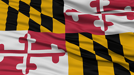 Image showing Closeup Maryland Flag, USA state