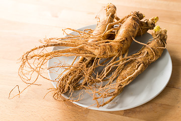 Image showing Fresh Korea Ginseng