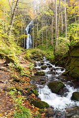 Image showing Waterfall in Oirase Mountain Stream